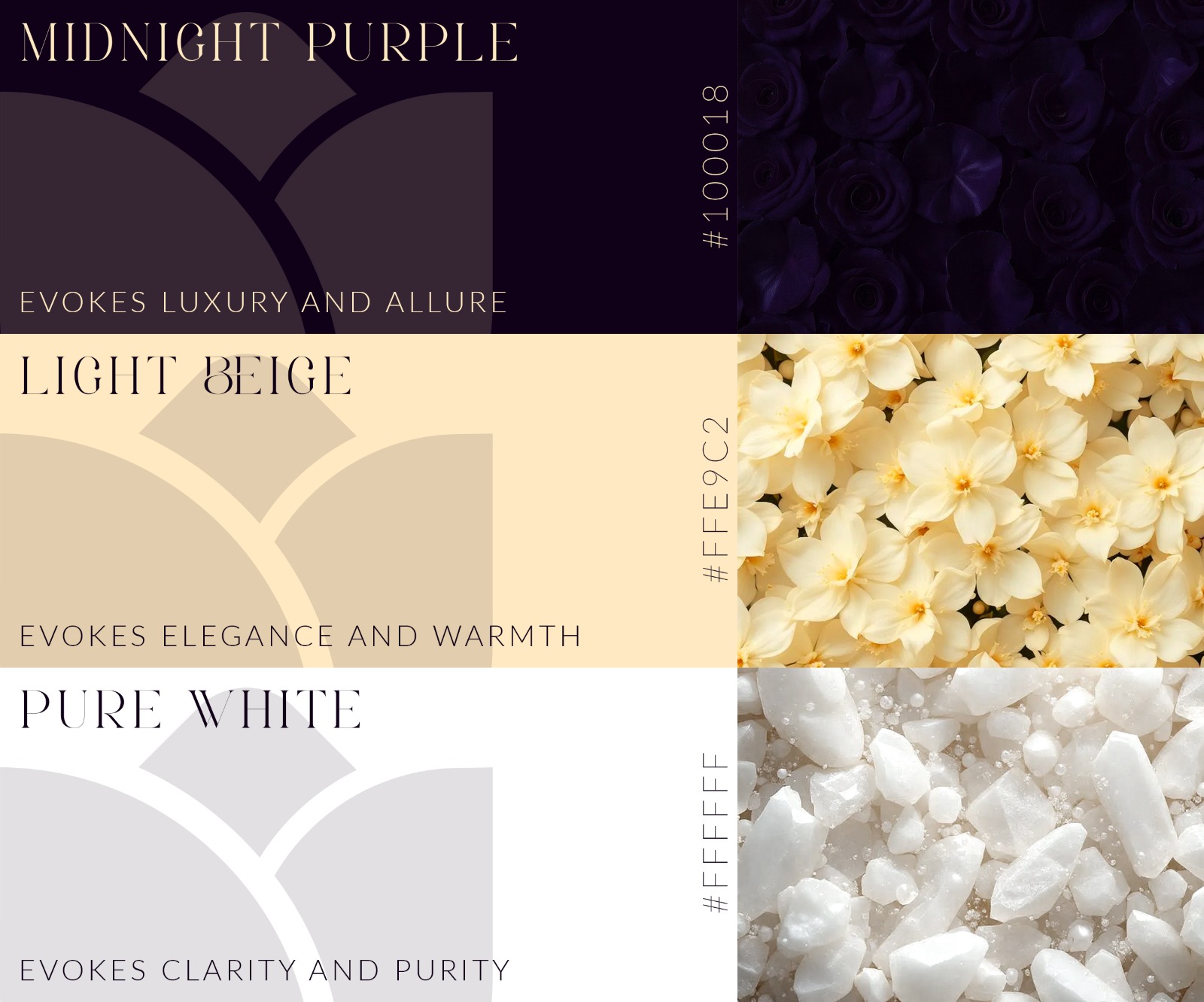 Livora Scents Rebranding — Luxury Home Fragrance Brand image 8
